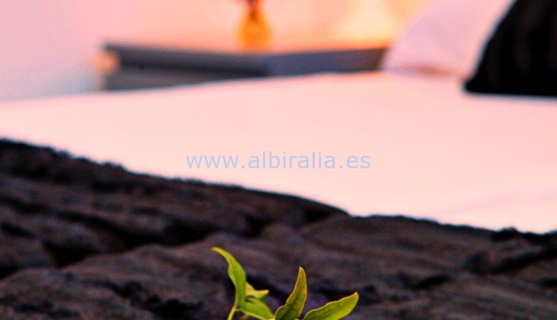 Albiralia leilighet til langtidsleie i Albir Altea 5