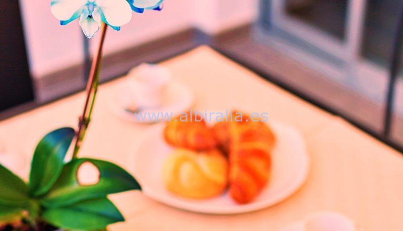 villa with sea view long term rent Albir