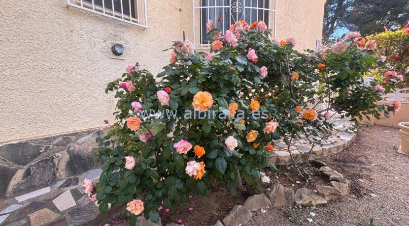 Albiralia property services offers properties close to norwegian school