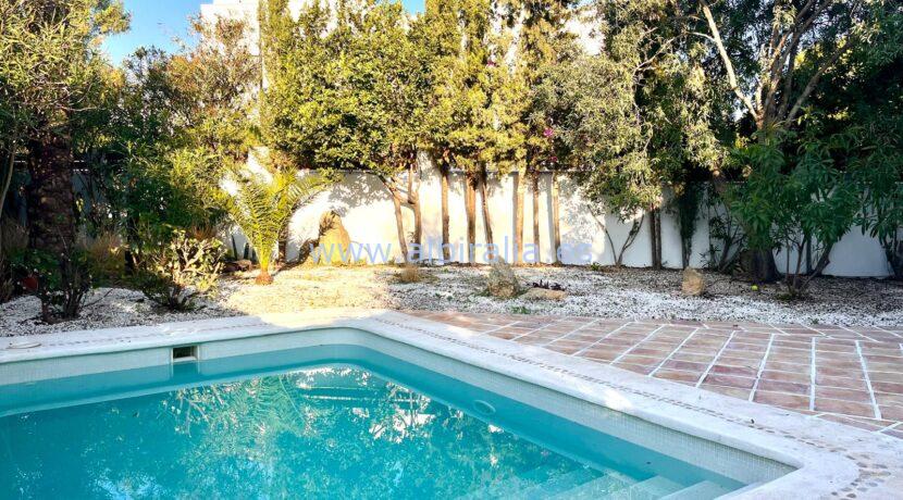 private swimming pool with salt water